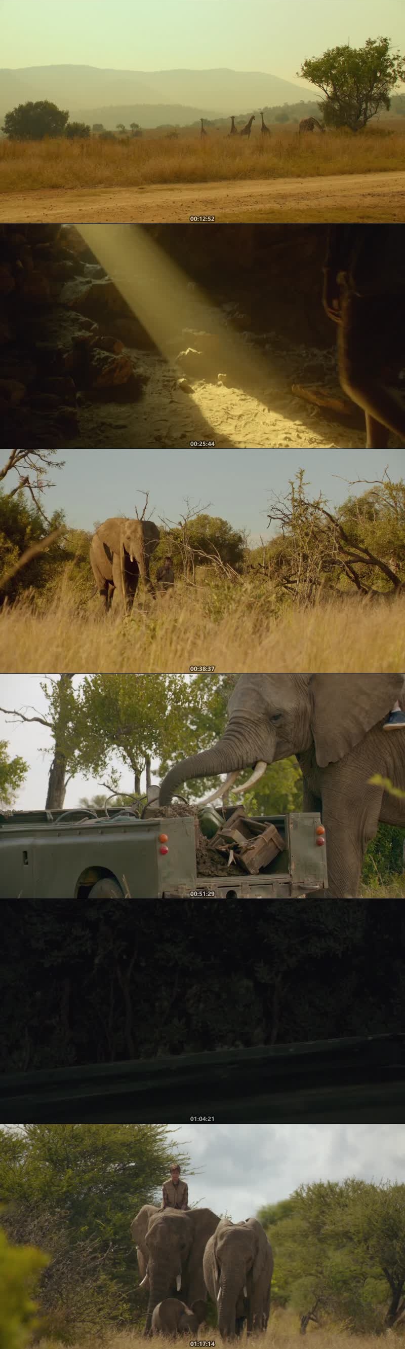 An Elephant’s Journey (2017) screenshot