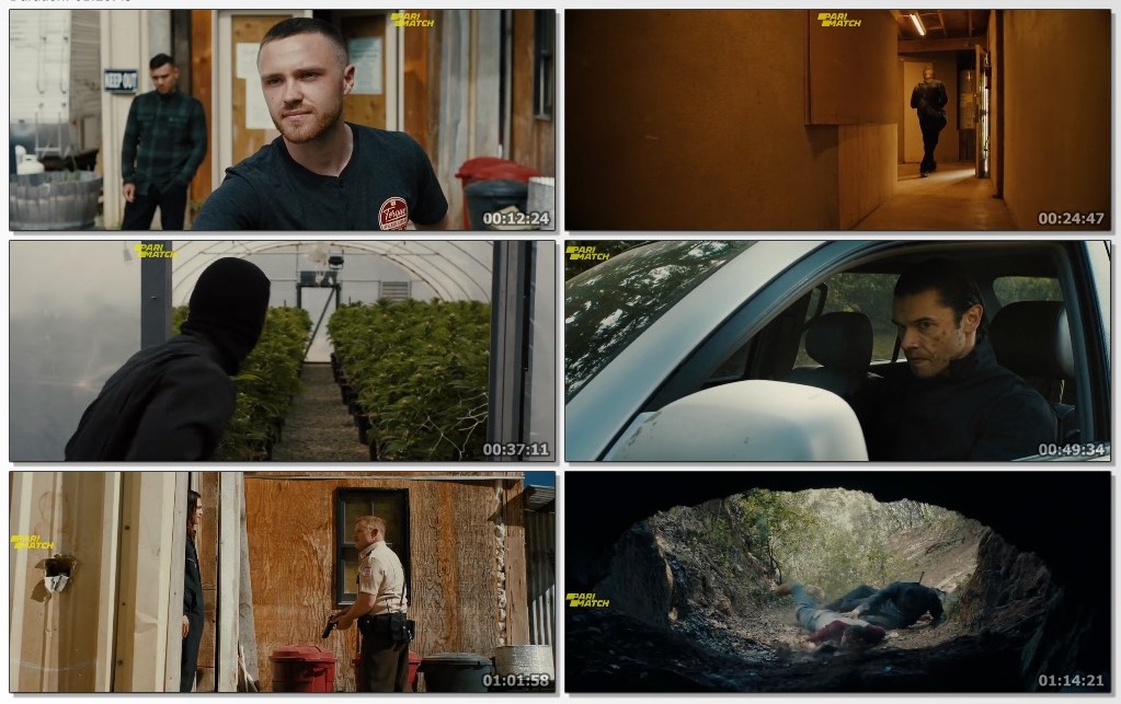 Green Rush (2020) screenshot