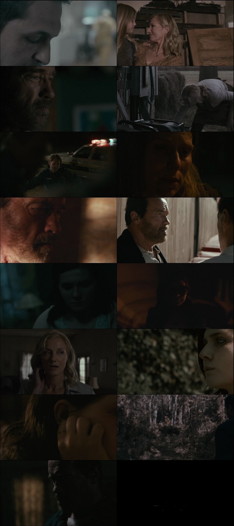 Maggie (2015) screenshot