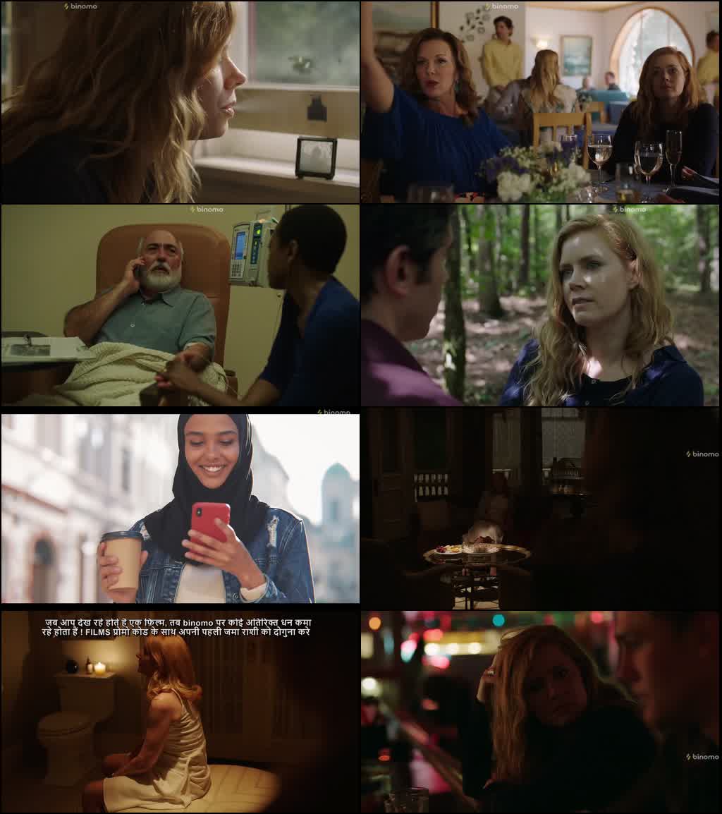 Sharp Objects (Season 1) Hindi Unofficial Dubbed Series 480p 720p & 1080p WEB-DL screenshot