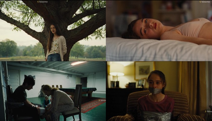 The Professor (2017) screenshot