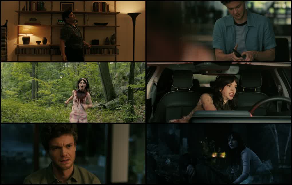 Companion (2025) screenshot