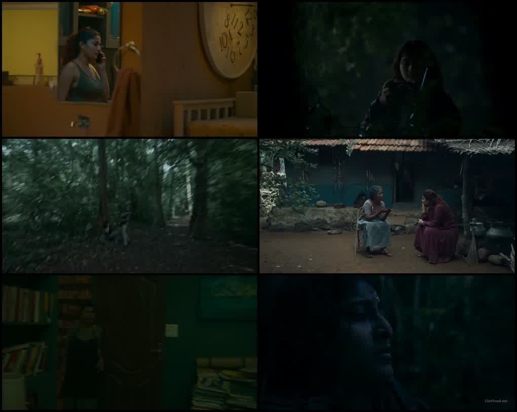 Footage (2024) screenshot