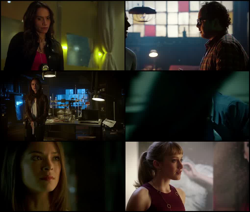 Beauty and the Beast (Season 1) Hindi ORG. Dubbed WEB Series 480p - 720p & 1080p WEB-DL screenshot