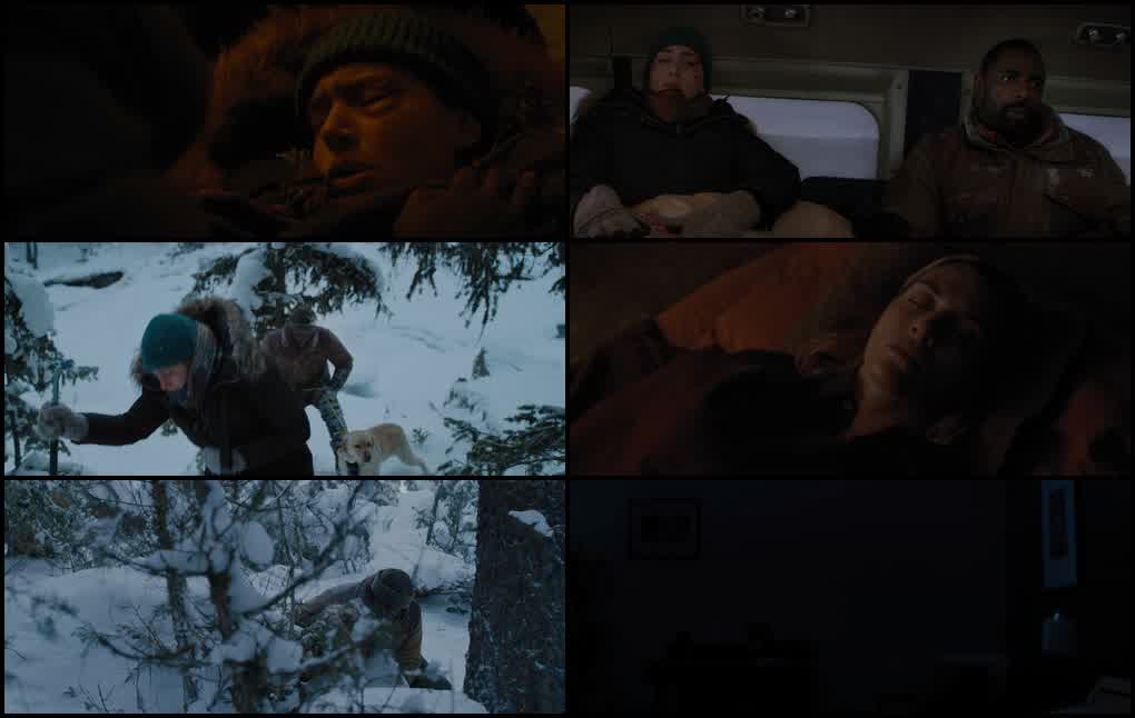 The Mountain Between Us (2017) screenshot