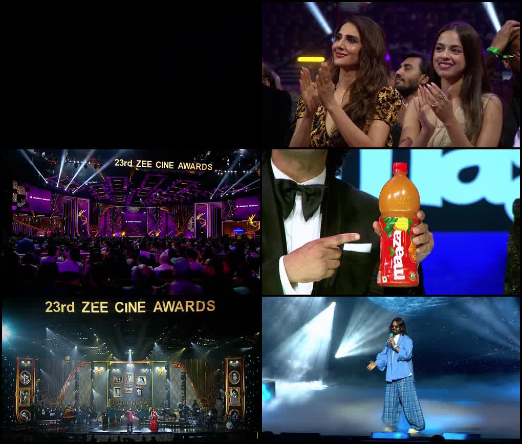 Zee Cine Awards (2025) screenshot