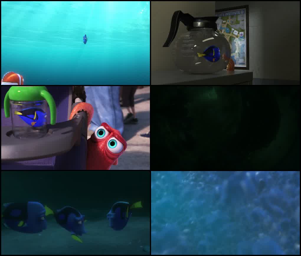 Finding Dory (2016) screenshot