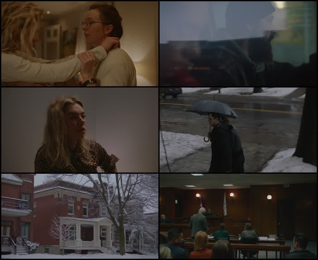 Pieces of a Woman (2020) screenshot