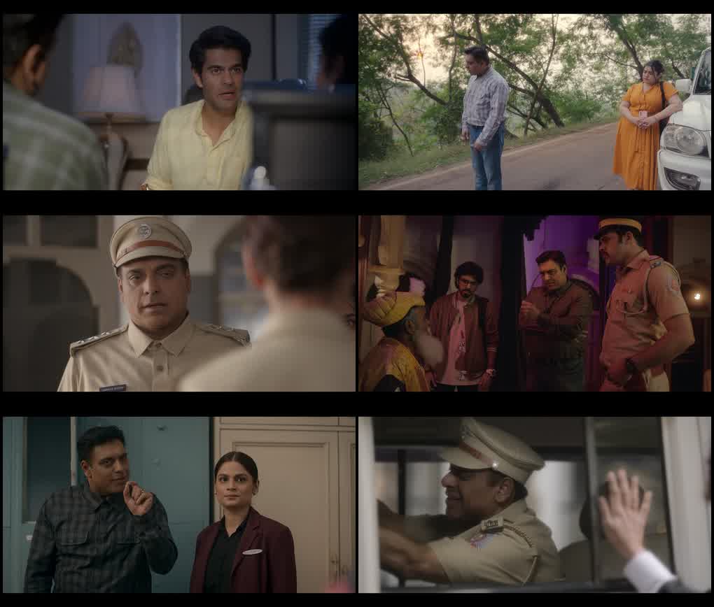 Mistry (Season 1) Hindi DD5.1 JioHotstar Complete Web Series 480p - 720p - 1080p WEB-DL screenshot