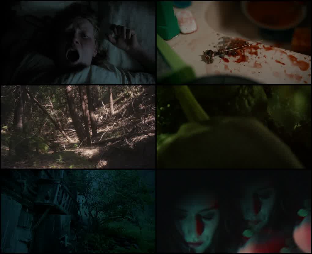 The Field Guide to Evil (2018) screenshot