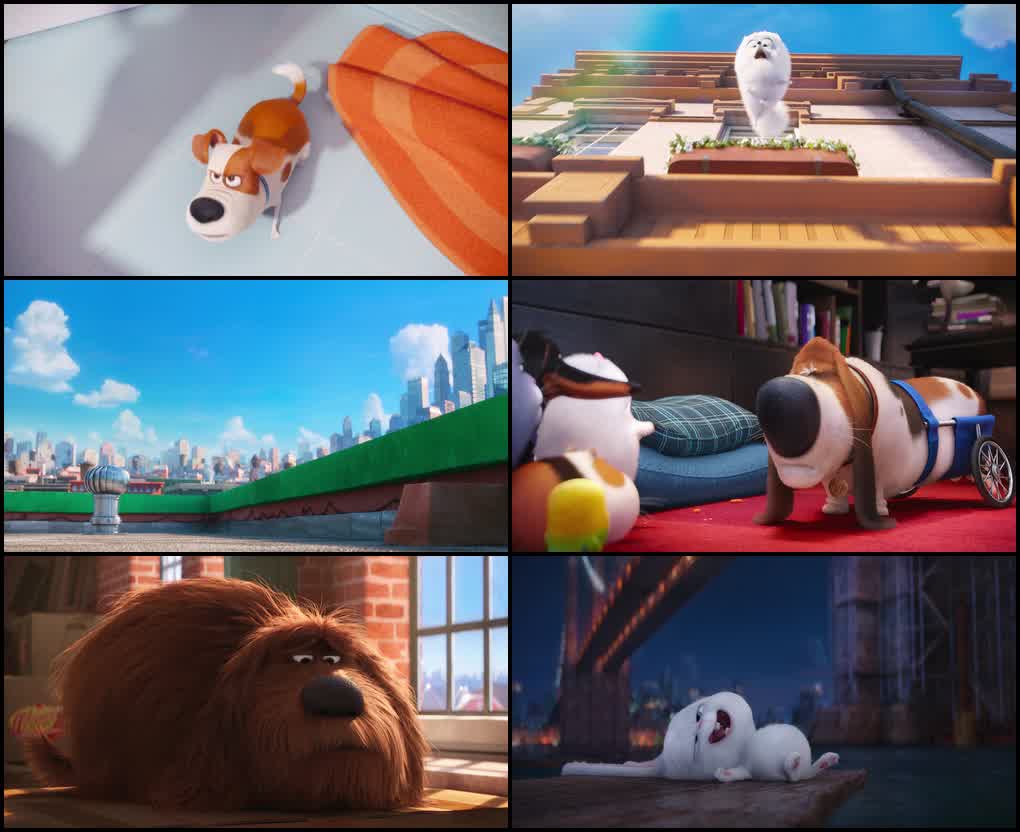 The Secret Life of Pets (2016) screenshot