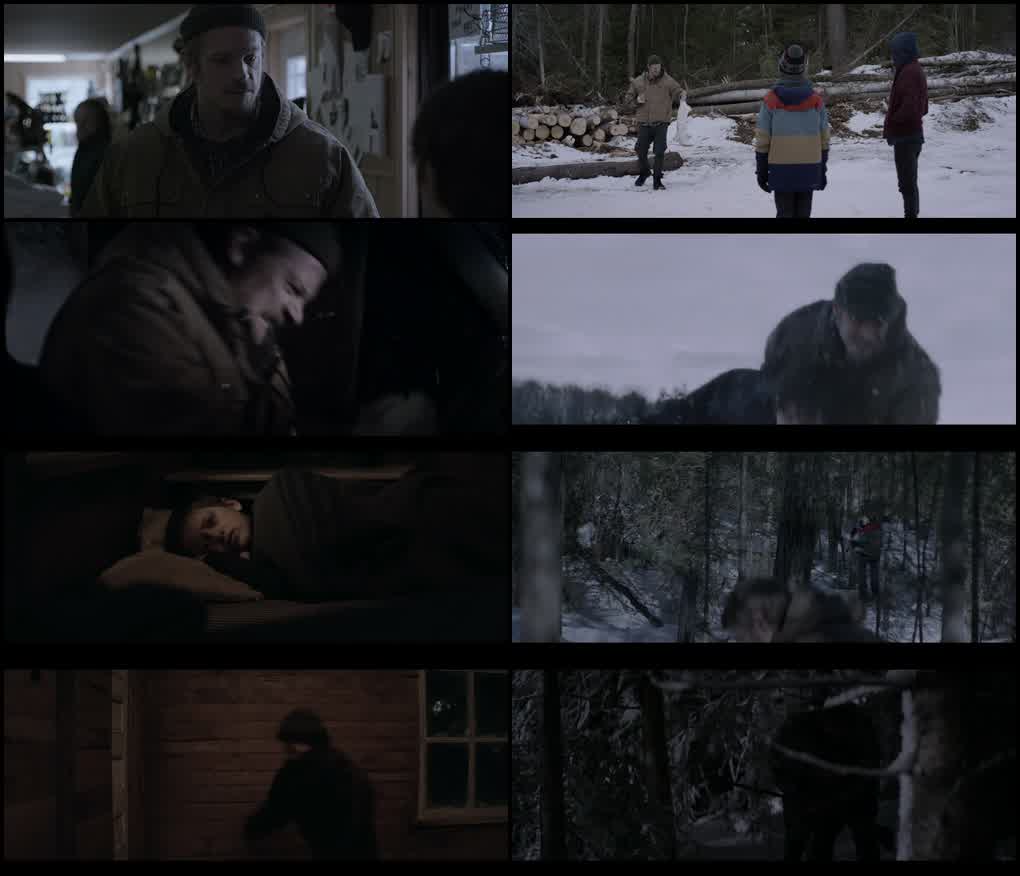 Edge of Winter (2016) screenshot