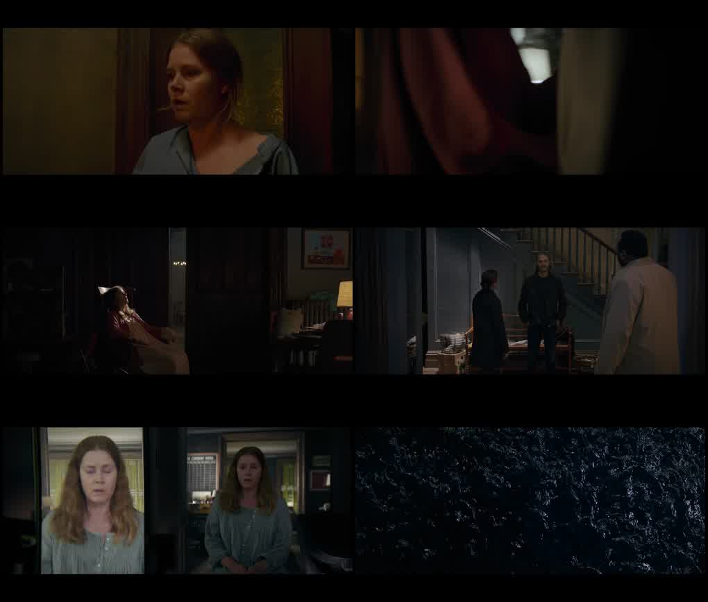 The Woman in the Window (2021) screenshot