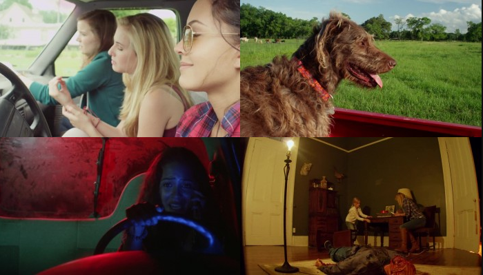 Night of the Wild (2015) screenshot