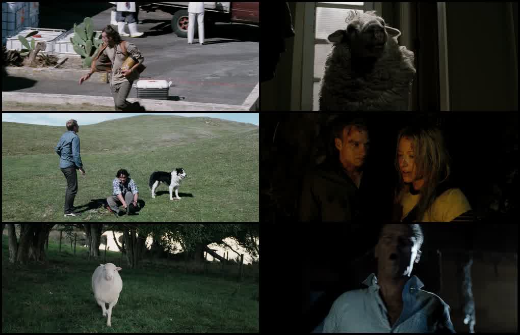 Black Sheep (2006) screenshot