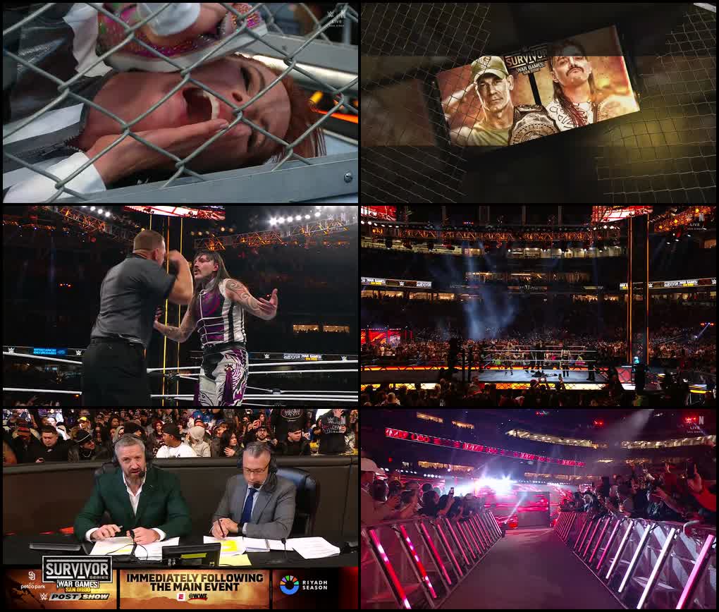 WWE Survivor Series WarGames (November 29th – 2025) Dual-Audio {Hindi-English} WWE Special Show 480p - 720p - 1080p WEB-DL screenshot