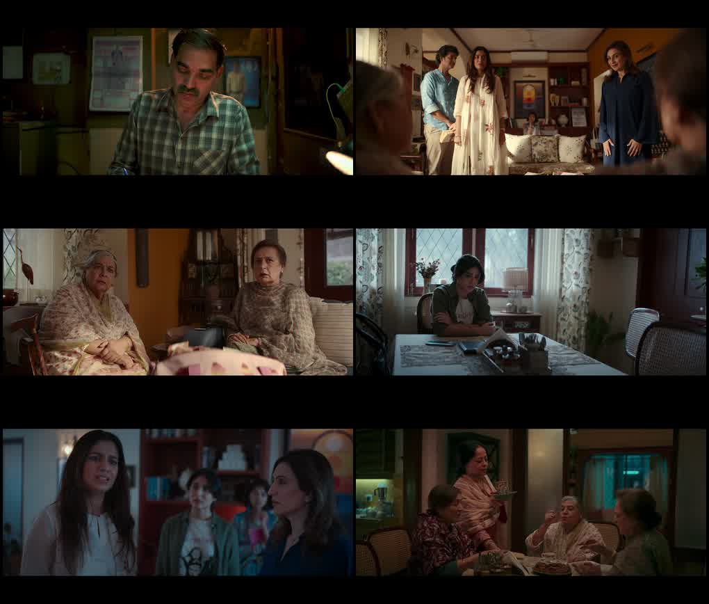 The Great Shamsuddin Family (2025) screenshot
