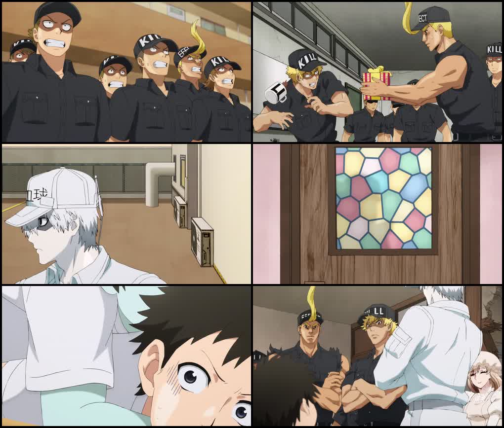 Cells at Work! (Season 1) Multi Audio {Hindi-English-Japanese} Anime Series 480p 720p & 1080p Blu-Ray screenshot