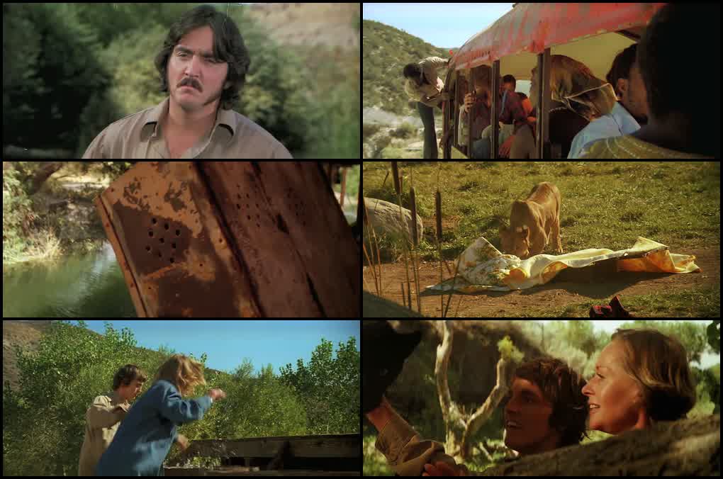 Roar (1981) screenshot