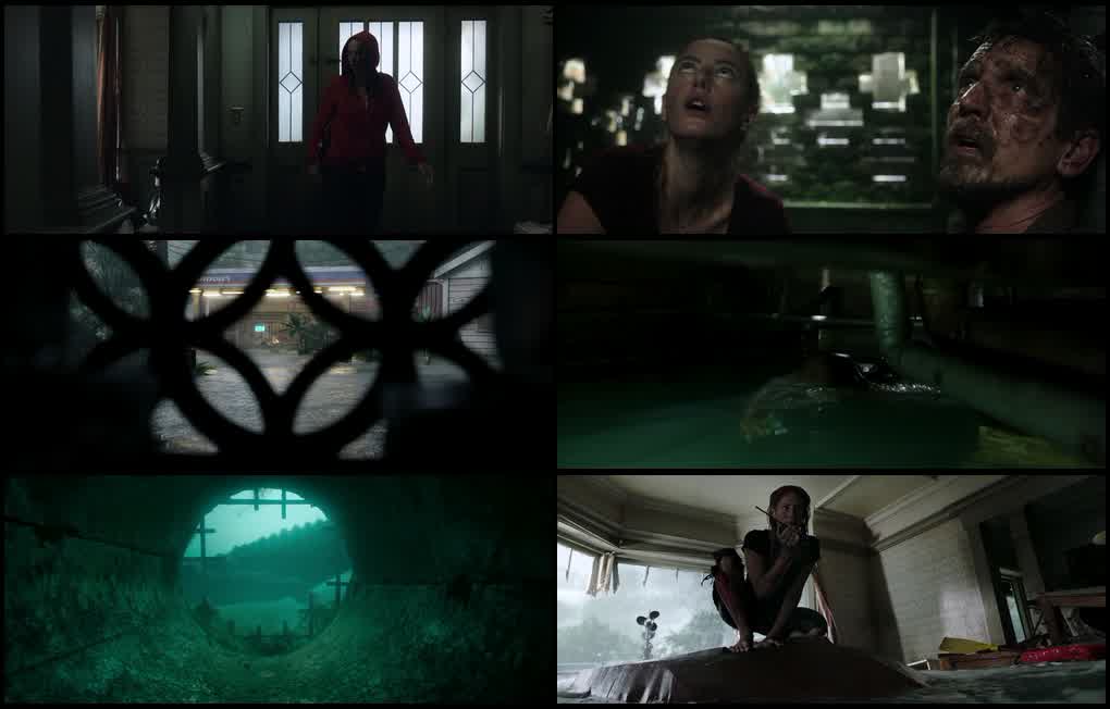 Crawl (2019) screenshot
