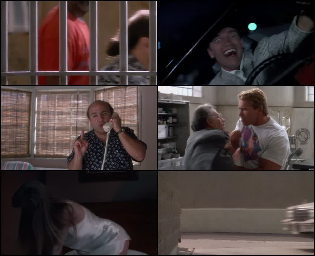 Twins (1988) screenshot