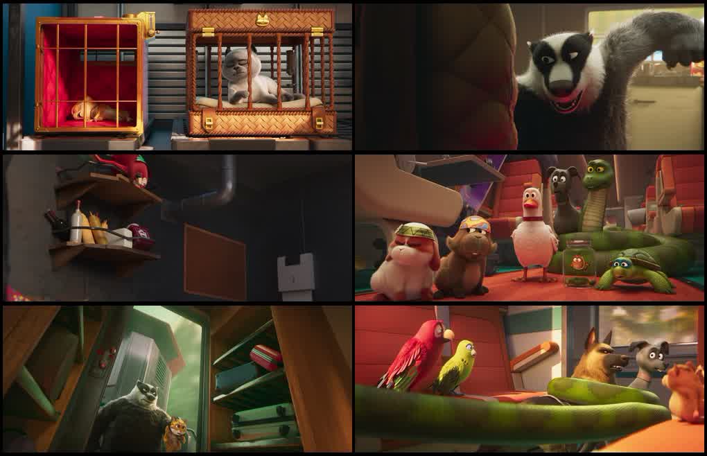 Pets on a Train (2025) screenshot
