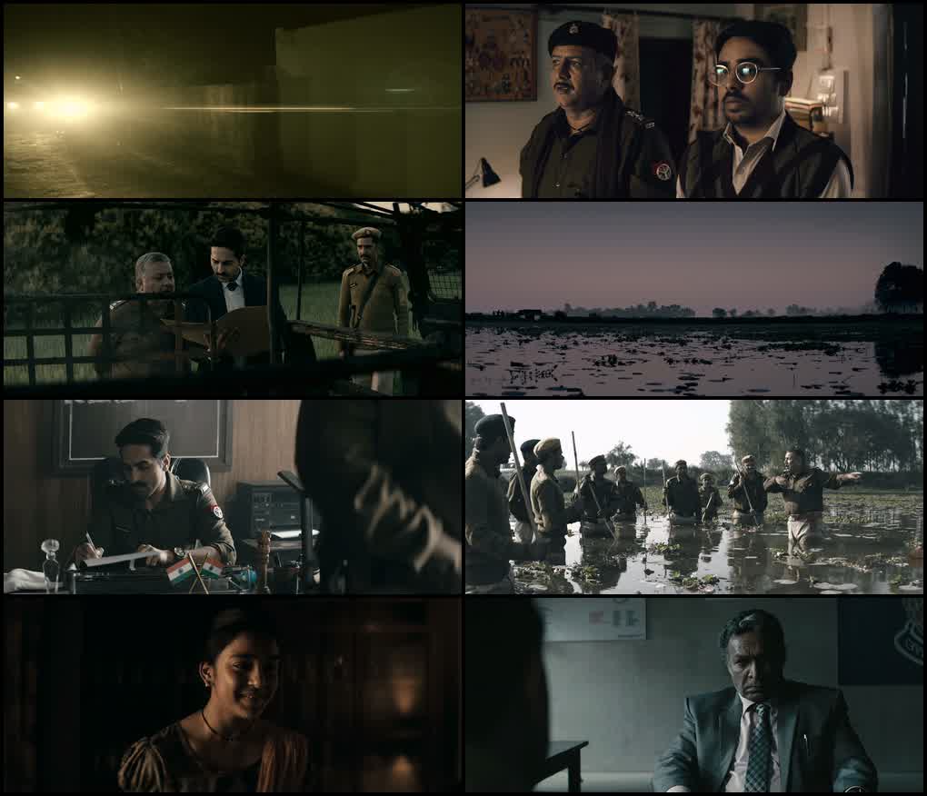 Article 15 (2019) screenshot