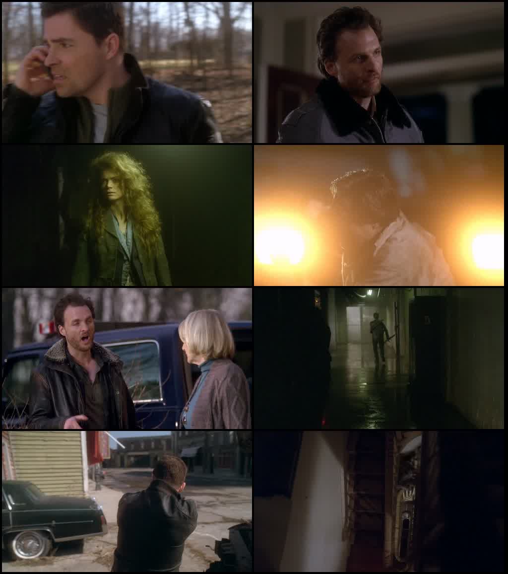Red: Werewolf Hunter (2010) screenshot