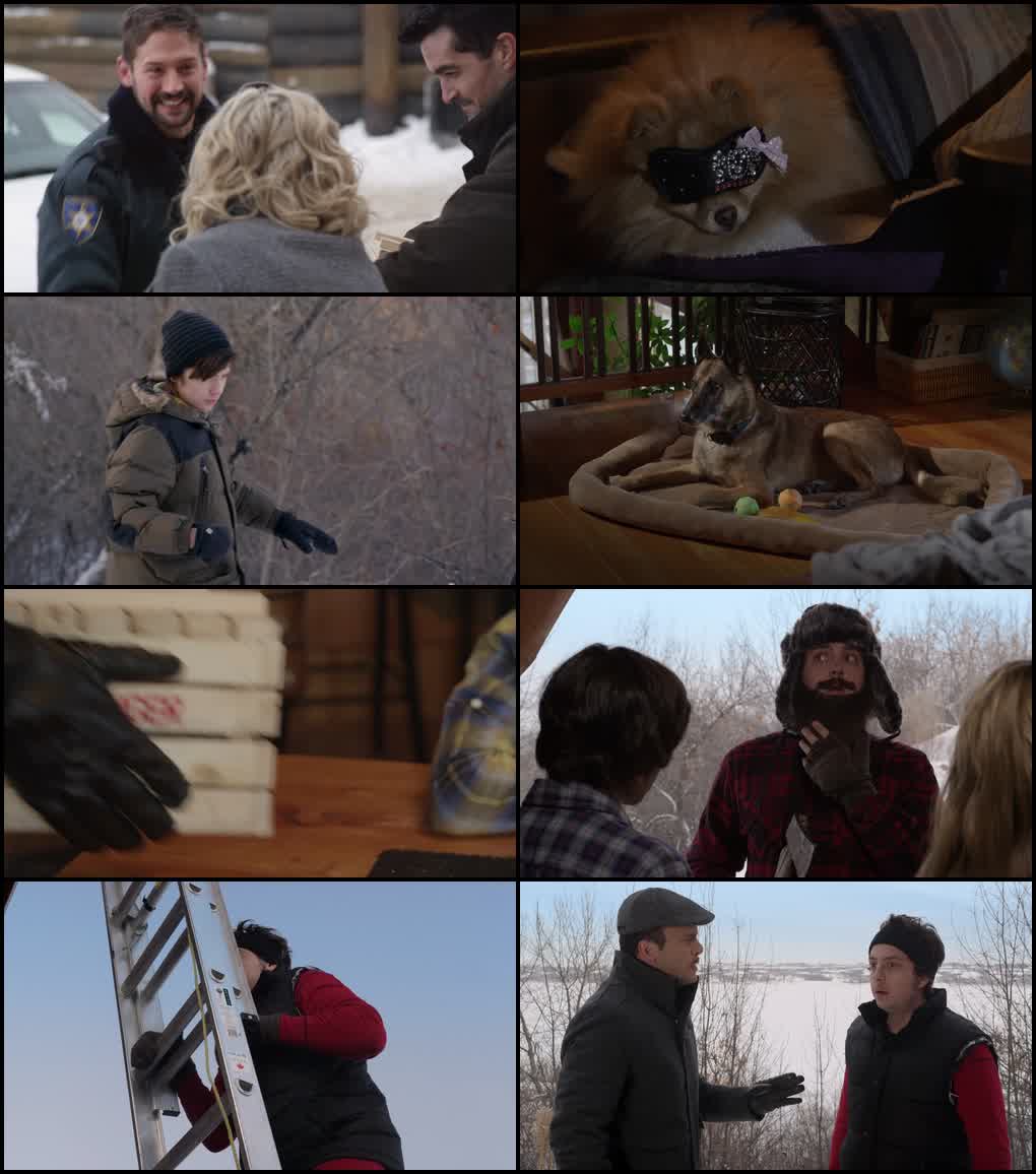 Step Dogs (2013) screenshot