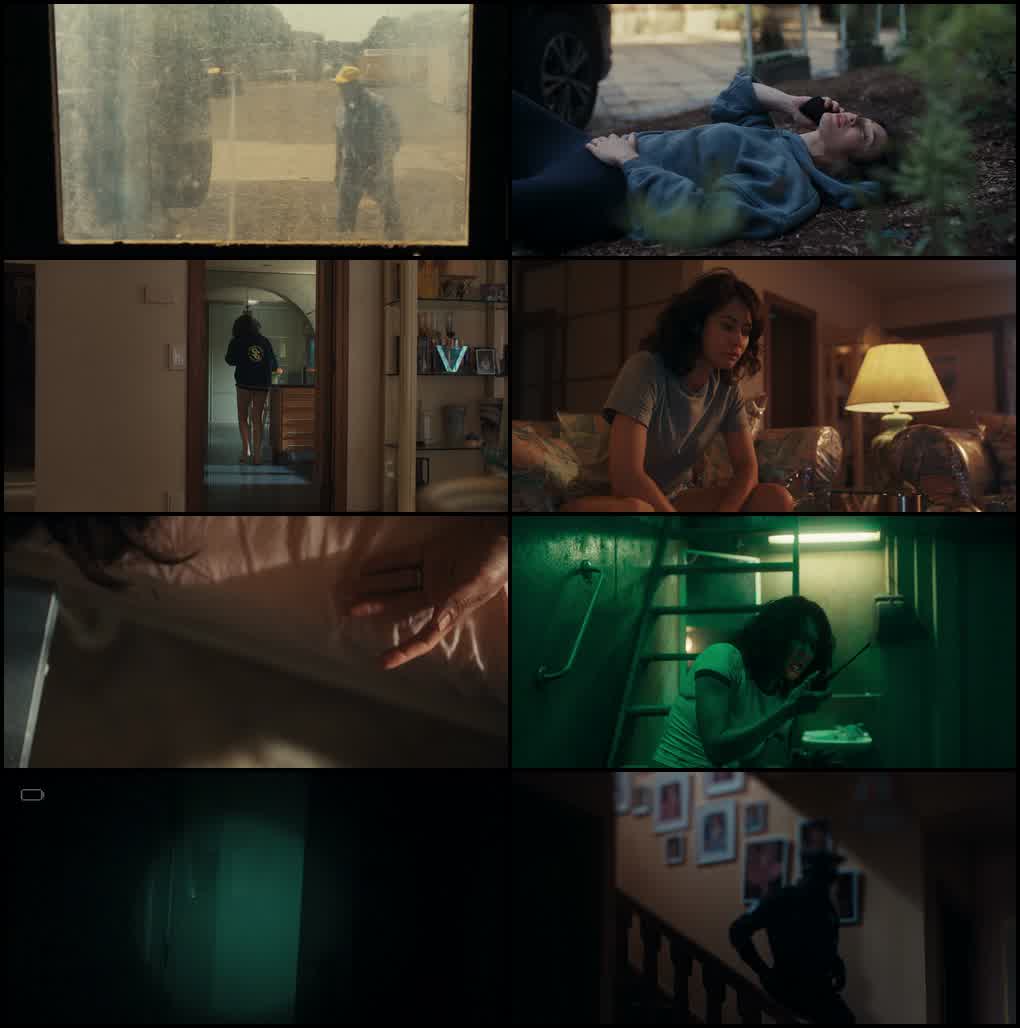 Other (2025) screenshot