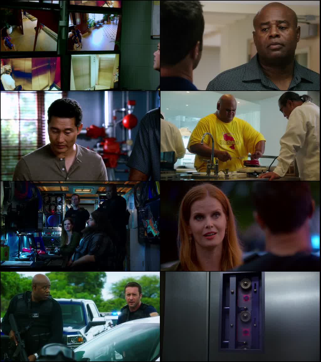 Hawaii Five-0 (Season 1 – 5) Netflix Series {Hindi-English} 480p 720p & 1080p WEB-DL screenshot