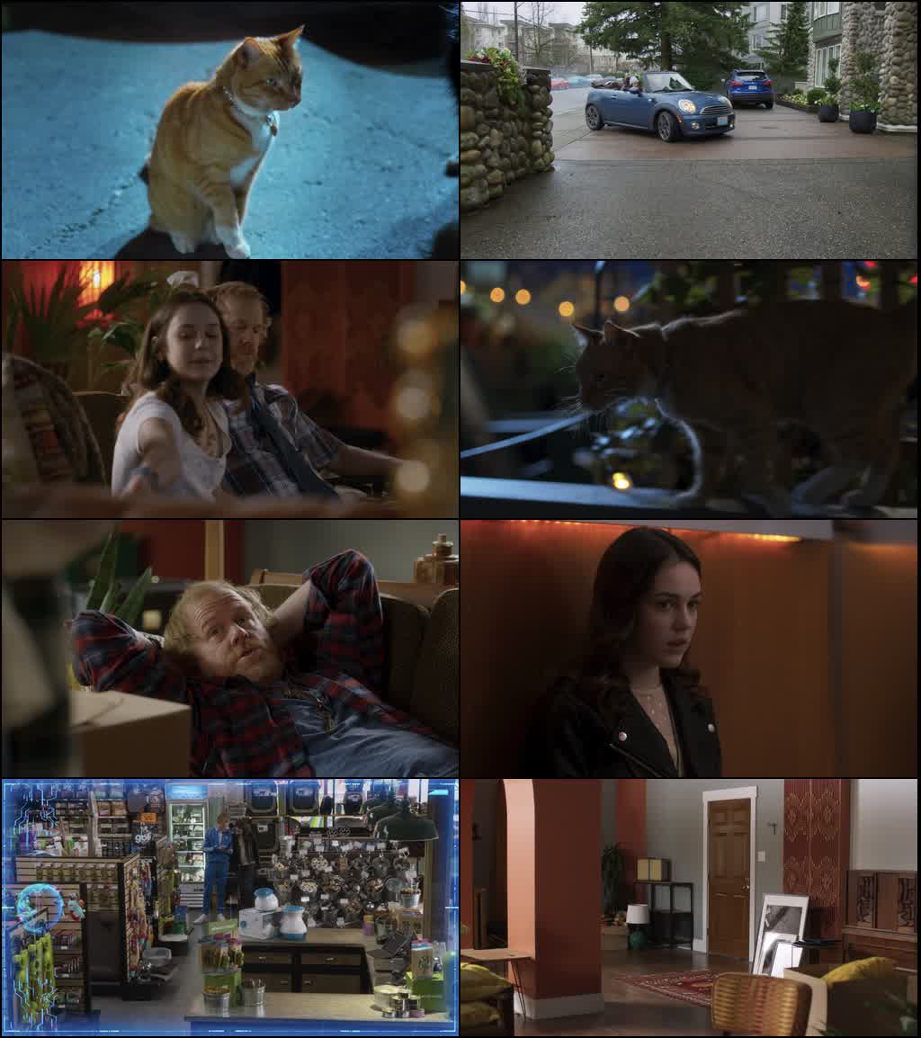 Cats & Dogs 3: Paws Unite (2020) screenshot
