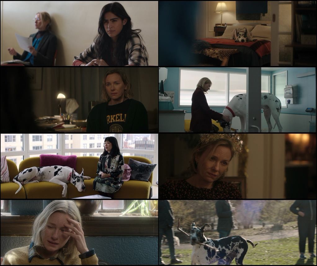 The Friend (2025) screenshot
