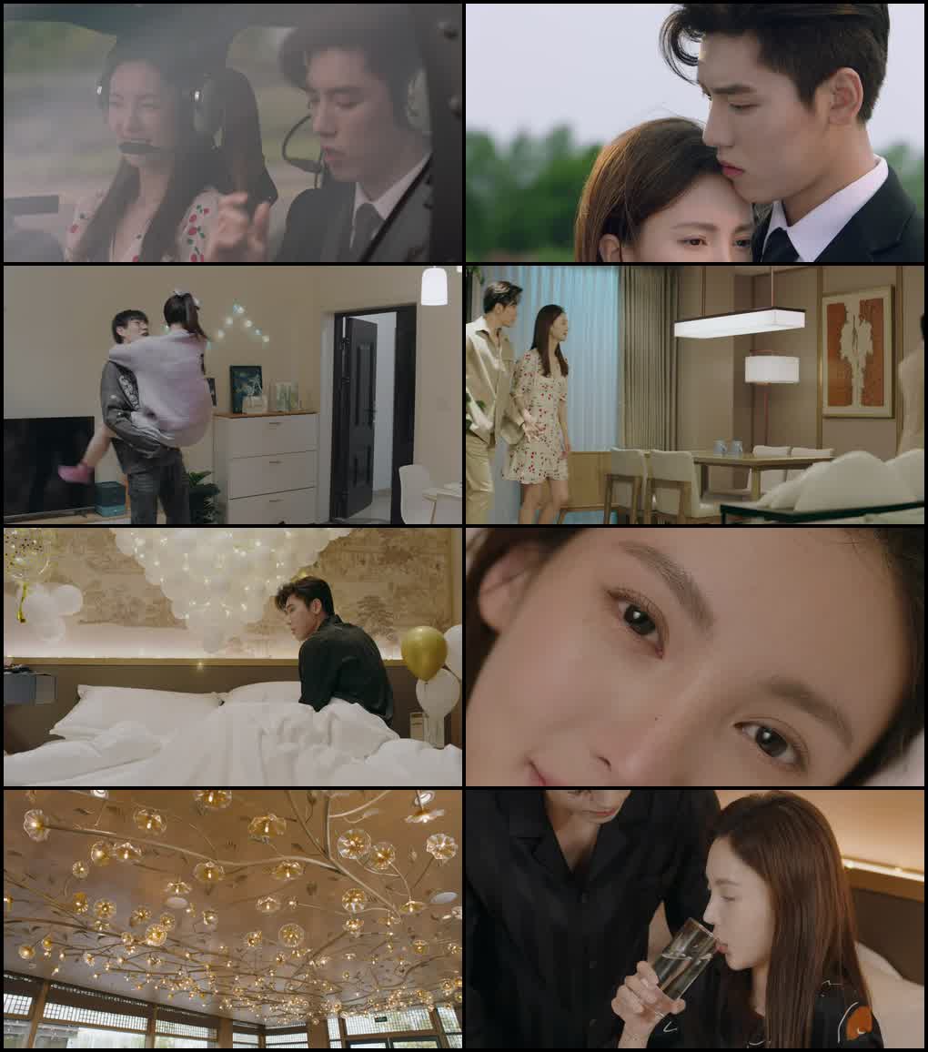 Why Women Love (Season 1) Hindi ORG Dubbed C-Drama Series 480p 720p & 1080p WEB-DL screenshot