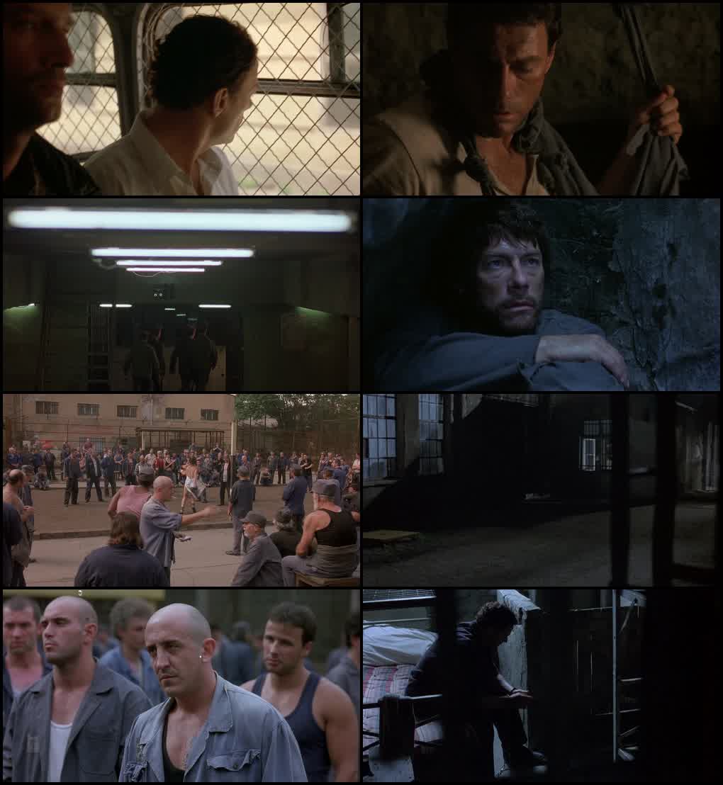 In Hell (2003) screenshot