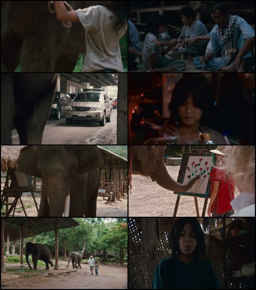 My Lucky Elephant (2013) screenshot