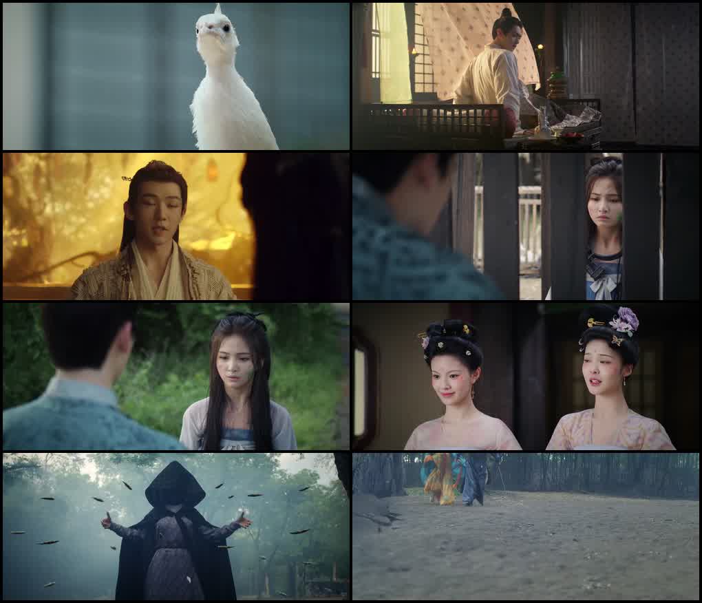 Moonlit Reunion (Season 1) Hindi ORG Dubbed C-Drama Series 480p 720p & 1080p WEB-DL screenshot