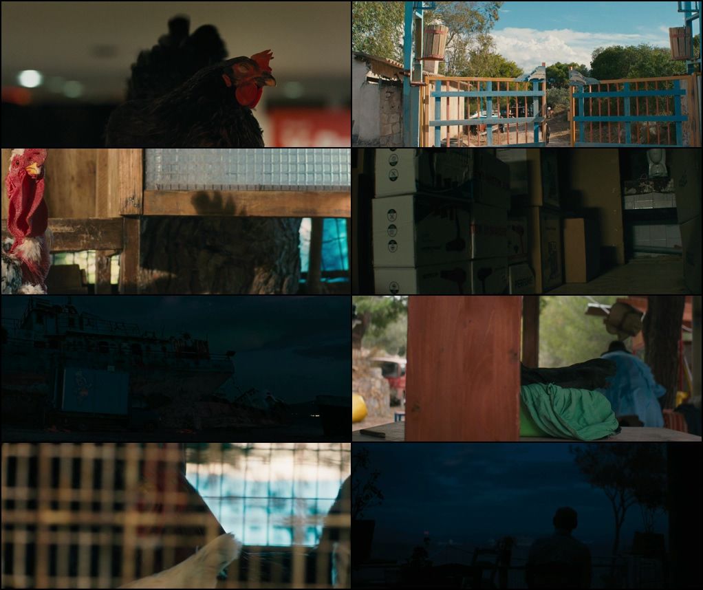 Hen (2025) screenshot