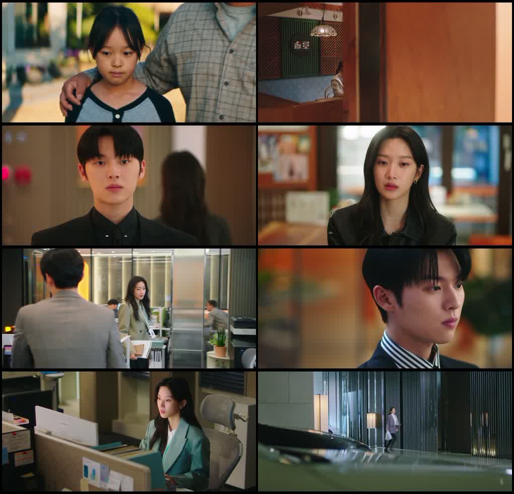 My Dearest Nemesis (Season 1) Hindi ORG Dubbed K-Drama Series 480p 720p & 1080p WEB-DL screenshot