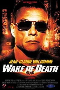 Wake of Death (2004) Dual Audio {Hindi-English} 480p - 720p poster